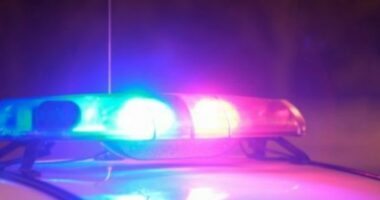 I dehur, godet me gurë Kryeministrinë/ Tiranë, 45-vjeçari shoqërohet në polici