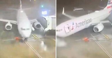 VIDEO/ Erërat e forta në SHBA marrin “zvarrë” aeroplanin në pistë