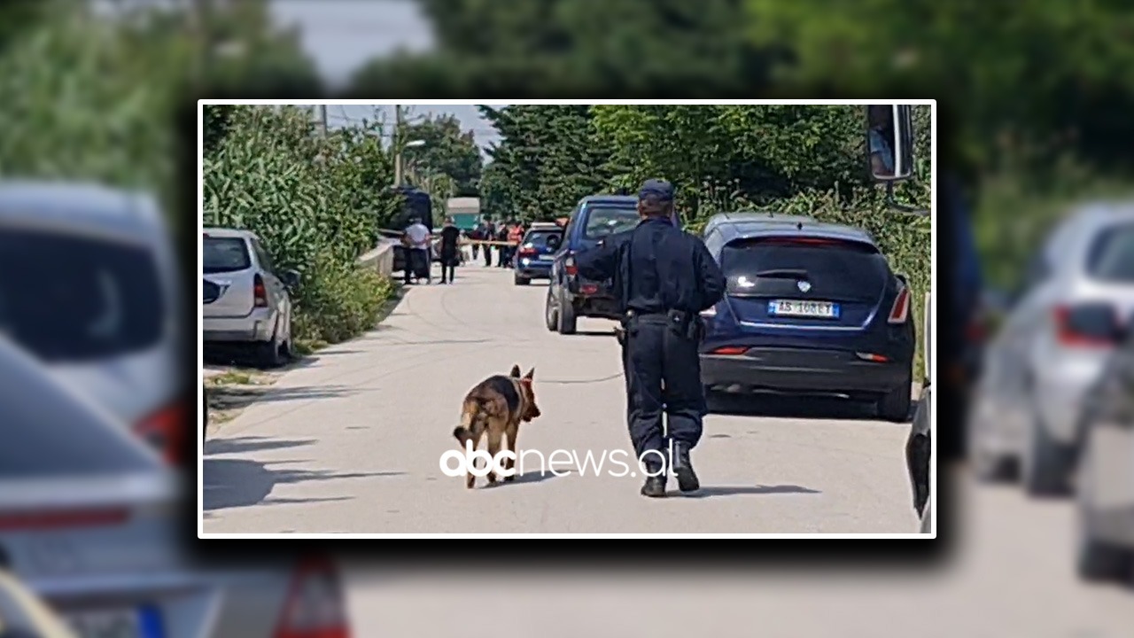 VIDEO/ Vrasja e efektivit në Fier, policia dhe FNSH kontrolle në autostradën Levan-Vlorë