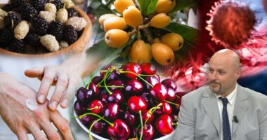 Frutat e pranverës/ Mjeku alternativ tregon përfitimet për trupin e njeriut: Ja si t’i konsumoni