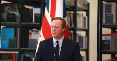 Pas vizitës në Tiranë, Cameron bisedë telefonike me presidentin Begaj: Shqipëria aleate e ngushtë e NATO-s!