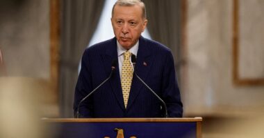 Vdekja e Raisit/ Erdogan: Turqia do të qëndrojë pranë Iranit në këto kohë të vështira