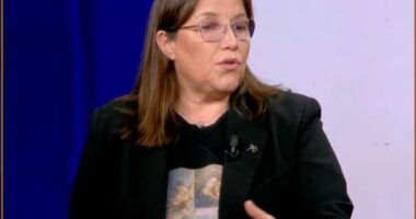 “Një grua duhet të bëhet nënë vetëm nëse martohet”, Gjikondi për “surrogacinë”: Ka lobim të klinikave private