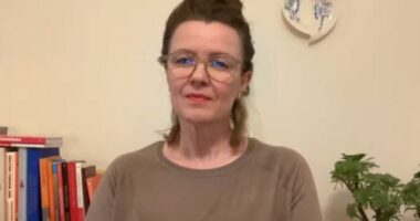 Kandidon për eurodeputete/ Flet Pati Vardhami: Prioriteti im janë emigrantët, në garë për të drejtat e komunitetit shqiptar