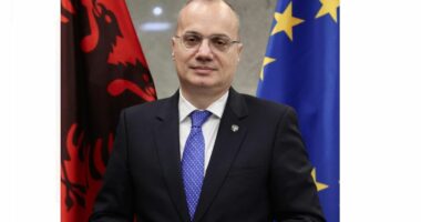 Ministri Hasani në Strasburg, takim me shqiptarët që punojnë në Këshillin e Europës