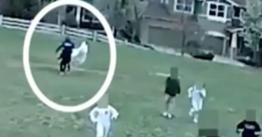 VIDEO/ Momenti kur 33-vjeçari tenton të rrëmbejë fëmijët në një shkollë fillore