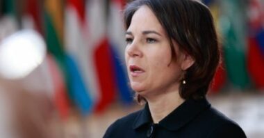 Ministrja e Jashtme gjermane: Putin dëshiron të shkatërrojë vendin dhe njerëzit