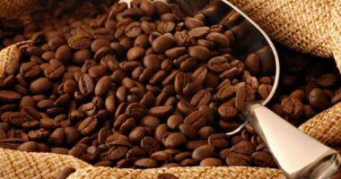 Inflacioni ndikon në rritjen e çmimit të kafes dhe kakaos