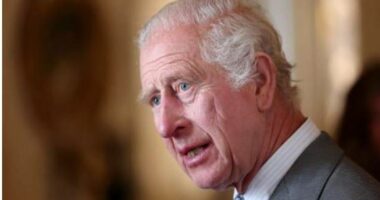 Zgjedhjet e parakohshme në Britaninë e Madhe, Mbreti Karli i III-të anulon vizitat e kësaj jave