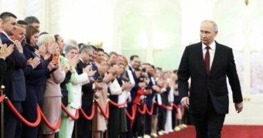 Elitat pro-Putin/ Si i rekrutoi presidenti rus në axhendën e tij anti-perëndimore