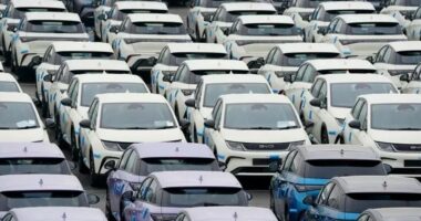 SHBA vendos tarifë 100% për importet e automjeteve elektrike kineze