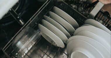 Koncerti i Filarmonisë në Hamburg u ndërpre nga një lavastovilje me defekt