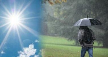 Reshje shiu, erë dhe temperatura deri në 34 gardë Celsius, parashikimi i motit gjatë javës