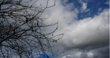 Parashikimi i motit, si do të ndryshojnë temperaturat gjatë ditës