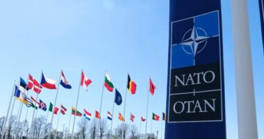 Deklarata e presidentes së re/ NATO: Maqedonia e Veriut përfaqësohet në Aleancë me emrin Kushtetues