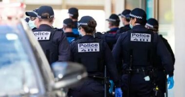 Australi/ Goditi me thikë një burrë, policia qëllon për vdekje 16-vjeçarin