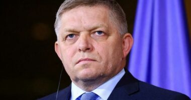 U sulmua me armë, kryeministri i Sllovakisë mbetet në rrezik për jetën