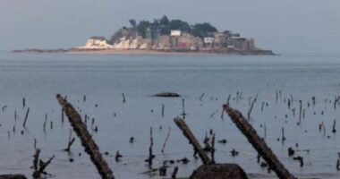 Konfiskimi i pasurive të oligarkut rus për të financuar Ukrainën ndeshet me sfida ligjore dhe financiare