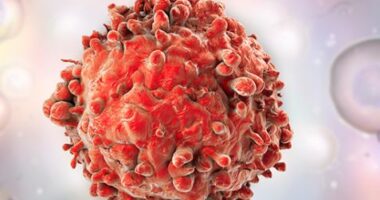 Shpresë për shërimin e leucemisë/ Një përzierje zëvendëson gjakun e infektuar me gjak të shëndetshëm