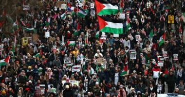 Sllovenia nis procedurën për njohjen e shtetit të Palestinës