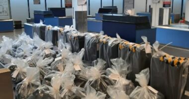 E pazakontë/ 51 vjeçari kapet me 8 valixhe plot me drogë në aeroport, me vlerë 1 milionë paund