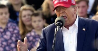 Trump paralajmëron “gjakderdhje” nëse nuk fiton zgjedhjet