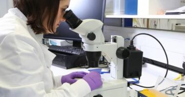 Shkencëtarët bëjnë zbulimin e rëndësishëm për kancerin e gjirit