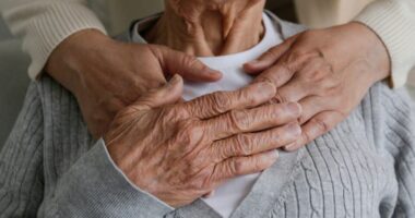 Plakja e popullsisë së Europës një “magnet” për disa investitorë