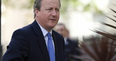 Cameron thirrje vendeve të NATO-s të rrisin shpenzimet e mbrojtjes në 2.5% të PBB-së