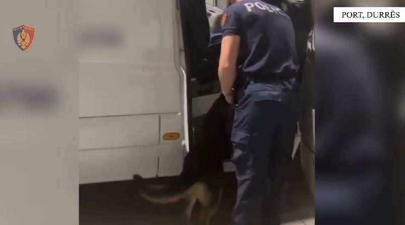 VIDEO/ Sekuestrimi i 7.3 kilogramë kokainë në portin e Durrësit, në kërkim 37-vjeçari, pritësi i lëndës narkotike