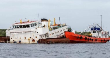 Përplaset varka në lumin Danub, dy të vdekur dhe 5 të zhdukur