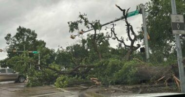 Houston goditet nga një stuhi e fuqishme, 4 viktima dhe rreth 1 milion pa energji