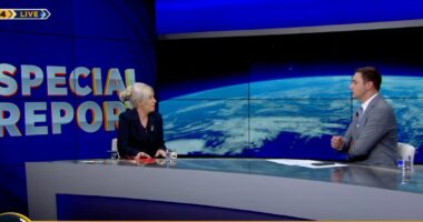 Forcimi i pasaportës shqiptare në botë, Çobani: Po punojmë për 26 marrëveshje për heqjen e vizave