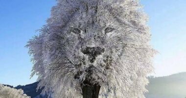 Test/ Cila është figura që dalloni së pari në foto? Tregon shumë për personalitetin tuaj