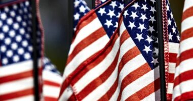 Sondazhi: Dy të tretat e amerikanëve të frikësuar për dhunën politike pas zgjedhjeve presidenciale