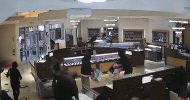 VIDEO/ 20 grabitës marrin sende me vlerë në një argjendari në SHBA