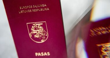 Lituania propozon ndryshime ligjore, mbështetësve rusë do t’u hiqet shtetësia