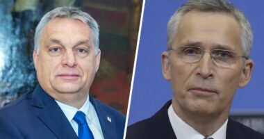 Orban: Jens Stoltenberg do të jetë të mërkurën në Budapest për çështjen e Ukrainës
