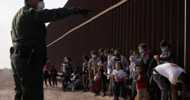 Fluksi i emigrantëve të paligjshëm/ Biden mbyll kufirin me Meksikën