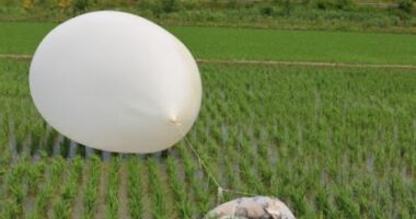 Koreja e Veriut dërgon sërish balona me mbeturina në Korenë e Jugut