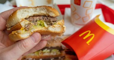 McDonald’s humbi të drejtën e përdorimit të emrit “Big Mac” për produktet e pulave