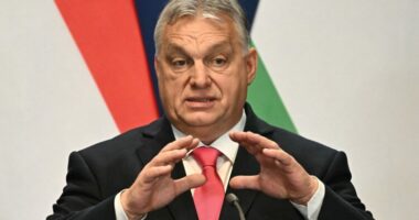 Kryeministri i Hungarisë kritika bllokut: Vendet kryesore të BE duan që lufta në Ukrainë të vazhdojë