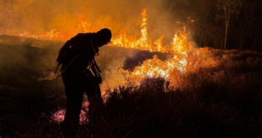 70 kuaj u dogjën në një zjarr në Francë