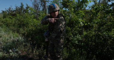 32 ukrainas u arrestuan në Hungari pasi kaluan ilegalisht kufirin