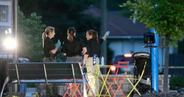 Të shtëna me armë në Michigan, 9 të plagosur, mes tyre dy fëmijë