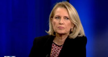 Çështja “Beleri” dhe zgjedhjet në PE/ Kodheli: Greqia ka investuar në personin e gabuar