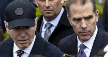 I biri u shpall fajtor/ Flet për herë të parë Biden: Unë jam president, por jam edhe baba