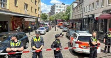 Kërcënoi tifozët holandezë me thikë dhe koktej molotov, policia gjermane neutralizon agresorin