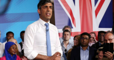 Rishi Sunak pranoi se u bë kryeministër për shkak të një gabimi