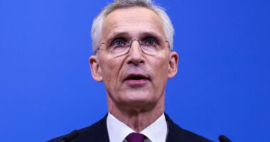 Stoltenberg: SHBA-ja është një aleat i fortë i NATO-s pavarësisht nga rezultati i zgjedhjeve